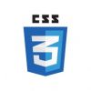 css3 logo