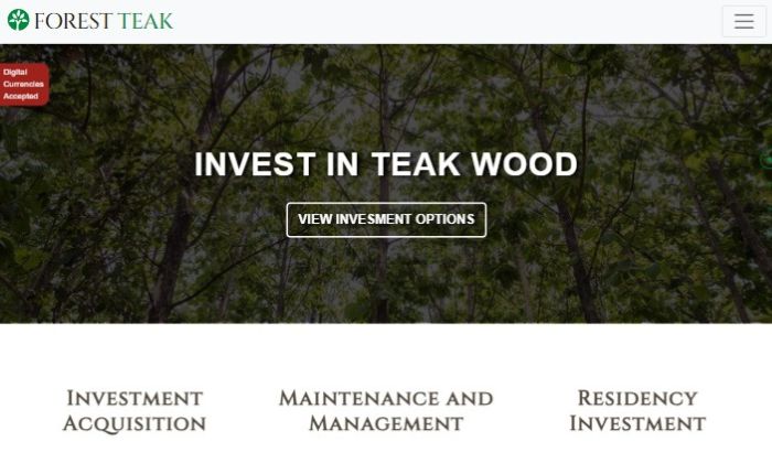 imagen del website de Fores teak