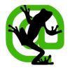 screaming frog logo